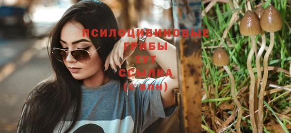 ГАЛЛЮЦИНОГЕННЫЕ ГРИБЫ Абинск